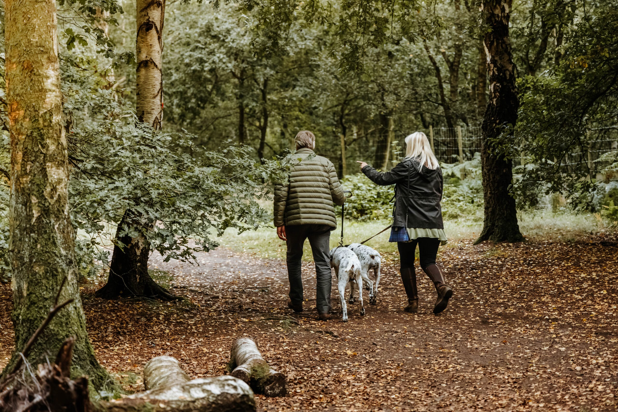 Woodland Walk