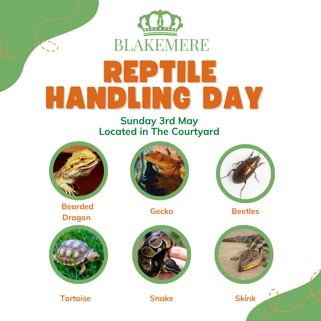 Free Reptile Handling Experience